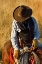 Picture of THE PLAINS DRIFTER