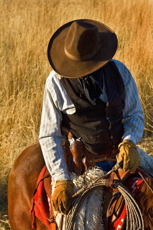 Picture of THE PLAINS DRIFTER