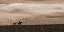 Picture of TRAILING HOME ~ SEPIA
