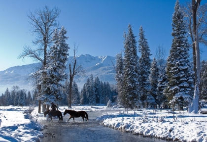 Picture of WINTER IN THE WALLOWA