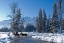 Picture of WINTER IN THE WALLOWA
