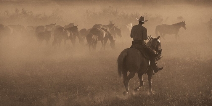 Picture of CHANGING PASTURES