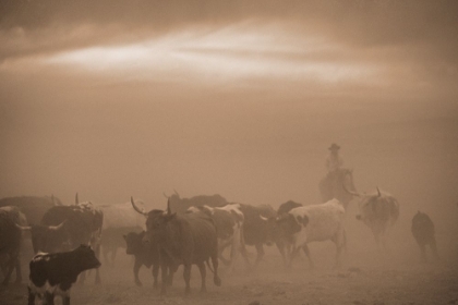 Picture of CAUGHT IN A DUST STORM