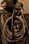 Picture of HIRED HAND II