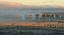 Picture of IN THE MORNING MIST