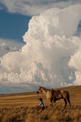 Picture of THUNDER ON THE PRAIRIE