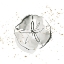 Picture of SAND DOLLAR I