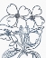 Picture of BW BLOOMS III