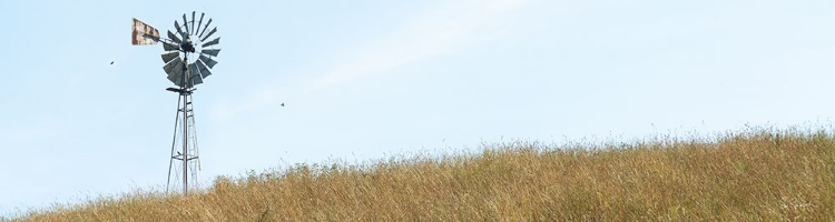 Picture of HEARTLAND WINDMILL