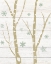 Picture of SNOWY BIRCHES IV SAGE