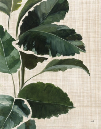 Picture of TROPICAL STUDY I LINEN