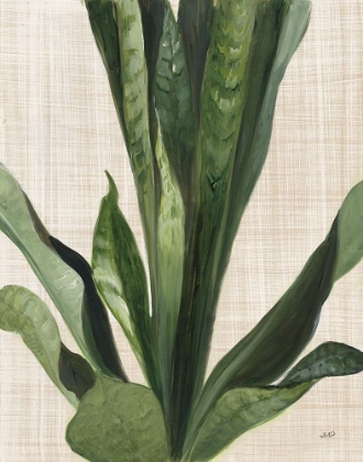Picture of TROPICAL STUDY III LINEN