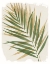 Picture of NATURE BY THE LAKE FROND II SHADOWS