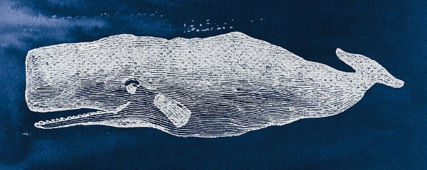 Picture of WHALE ON BLUE