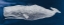 Picture of WHALE ON BLUE
