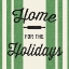 Picture of HEARTLAND HOLIDAY I V2 GREEN