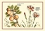 Picture of GARDEN BOTANICA II