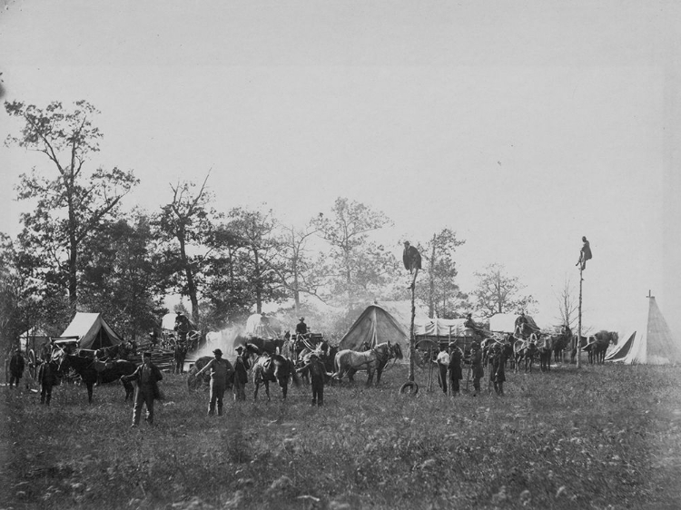 Picture of U.S. MILITARY TELEGRAPH CONSTRUCTION CORPS