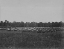 Picture of WAGON PARK-BRANDY STATION-VIRGINIA