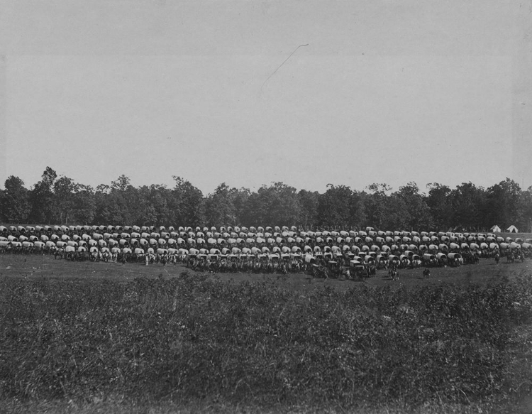 Picture of WAGON PARK-BRANDY STATION-VIRGINIA