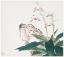 Picture of INSECTS AND FLOWERS VIII