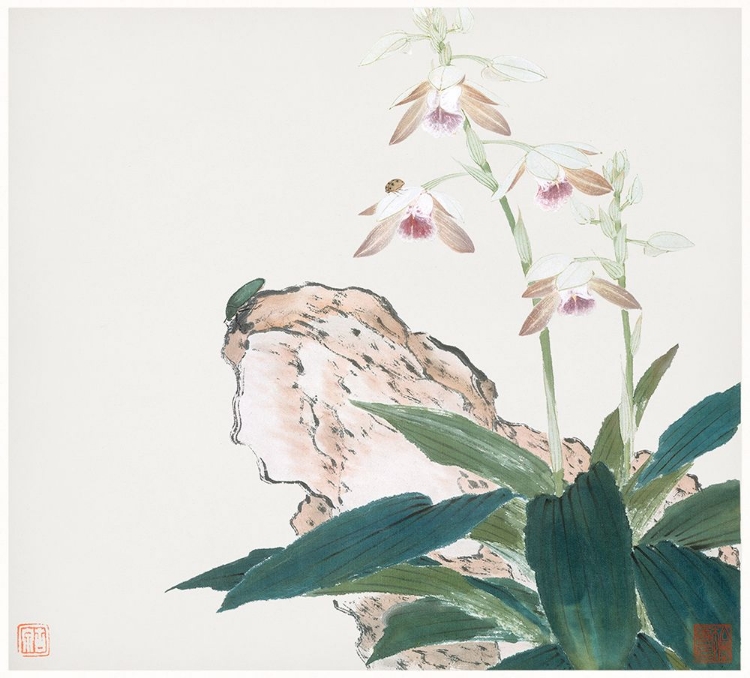 Picture of INSECTS AND FLOWERS VIII