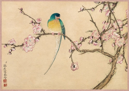Picture of BIRD WITH PLUM BLOSSOMS