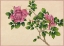 Picture of ROSE