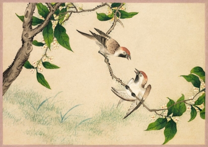 Picture of GOSSIPING SPARROWS
