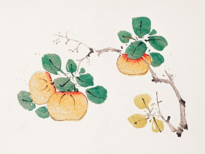 Picture of PAGE FROM SHI ZHU ZHAI ORANGE FRUIT