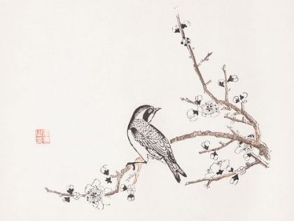 Picture of PAGE FROM SHI ZHU ZHAI BIRD ON BRANCH