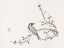 Picture of PAGE FROM SHI ZHU ZHAI BIRD ON BRANCH