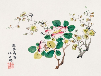 Picture of PAGE FROM SHI ZHU ZHAI PINK BLOSSOMS