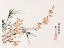 Picture of PAGE FROM SHI ZHU ZHAI ORANGE BLOSSOMS
