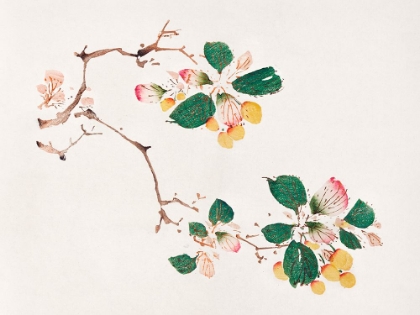 Picture of PAGE FROM SHI ZHU ZHAI GOLDEN FRUIT