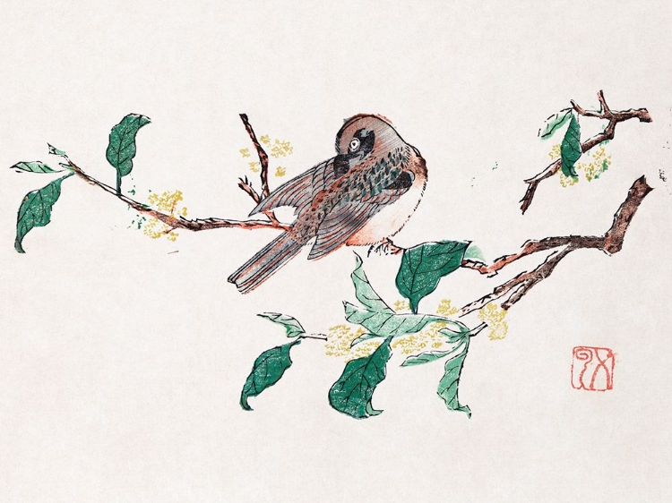 Picture of PAGE FROM SHI ZHU ZHAI PREENING BIRD