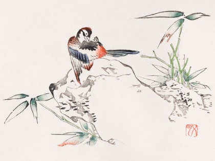 Picture of PAGE FROM SHI ZHU ZHAI BIRD ON ROCK