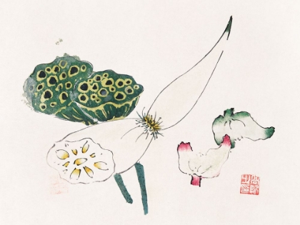 Picture of PAGE FROM SHI ZHU ZHAI GREEN SEED PODS