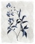 Picture of HARLEQUIN BOTANICAL I