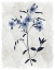Picture of HARLEQUIN BOTANICAL III