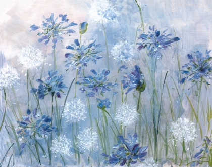 Picture of DANDELION AND AGAPANTHUS