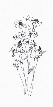 Picture of WILDFLOWERS SKETCH I