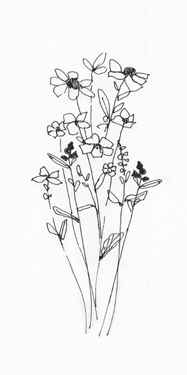 Picture of WILDFLOWERS SKETCH I