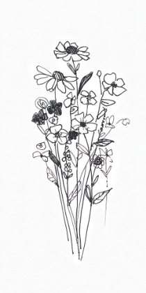 Picture of WILDFLOWERS SKETCH II