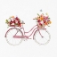 Picture of SPRING BIKE I