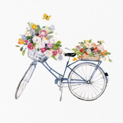Picture of SPRING BIKE II
