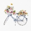 Picture of SPRING BIKE II
