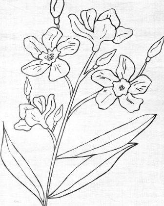 Picture of BOTANICAL SKETCH I