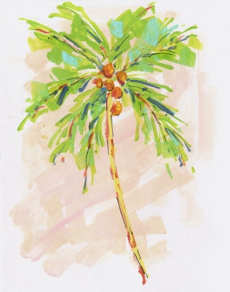 Picture of COCONUT PALM I