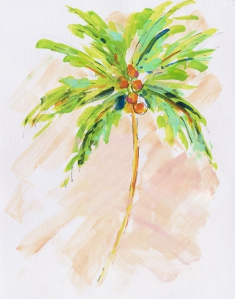 Picture of COCONUT PALM II